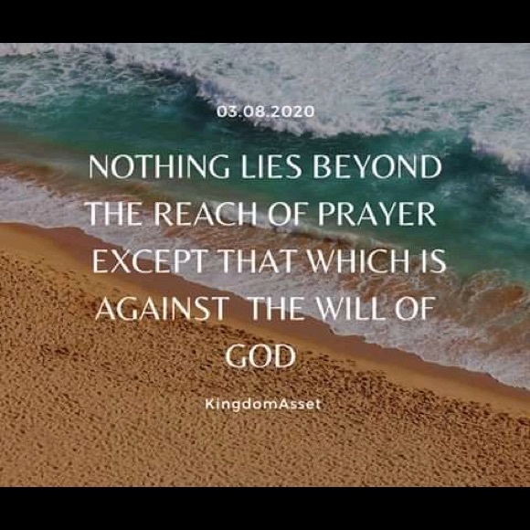 Meet your Posher, Debbie - Picture 6 of 6